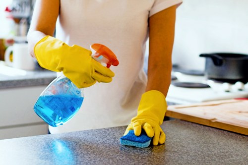 Upholstery cleaning equipment used for sofa cleaning in Stockwell