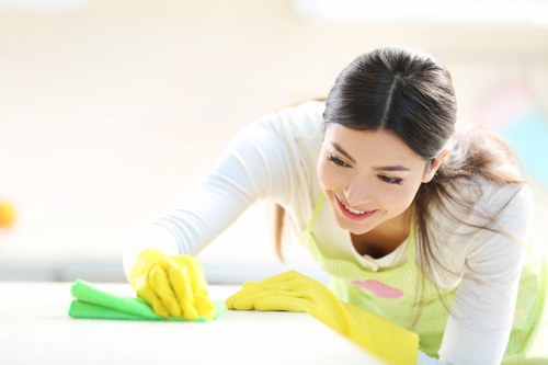 Cleaning pet urine stain from upholstery to remove odour