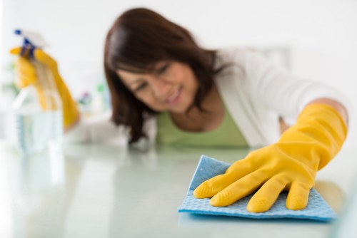 Professional carpet cleaning in a bright living room